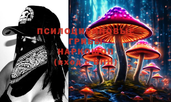 PSILOCYBIN Бронницы